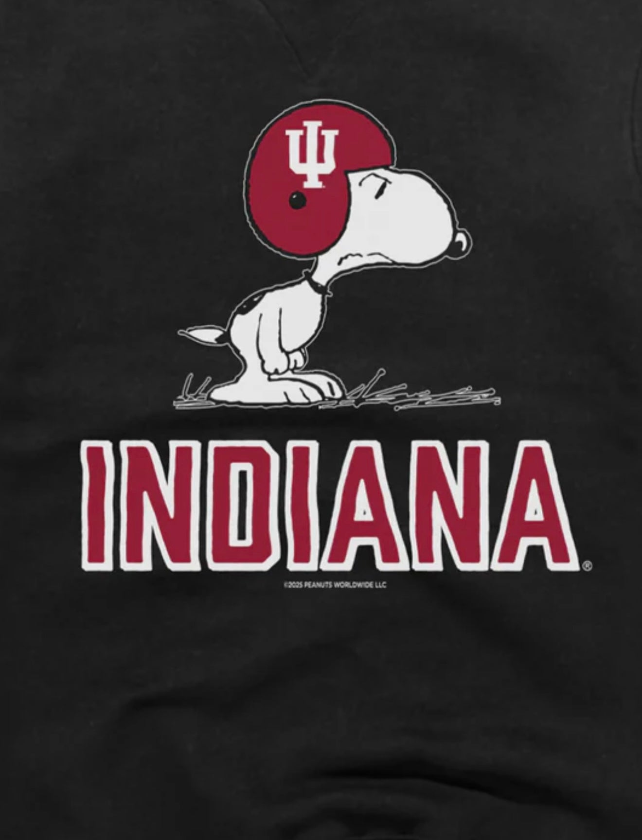 Snoopy IU Shirt