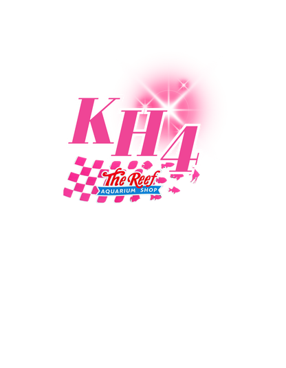 Kristen Hammer Shirts